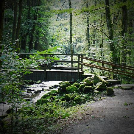 Fewo Kedo Neukirchen vorm Wald Dış mekan fotoğraf