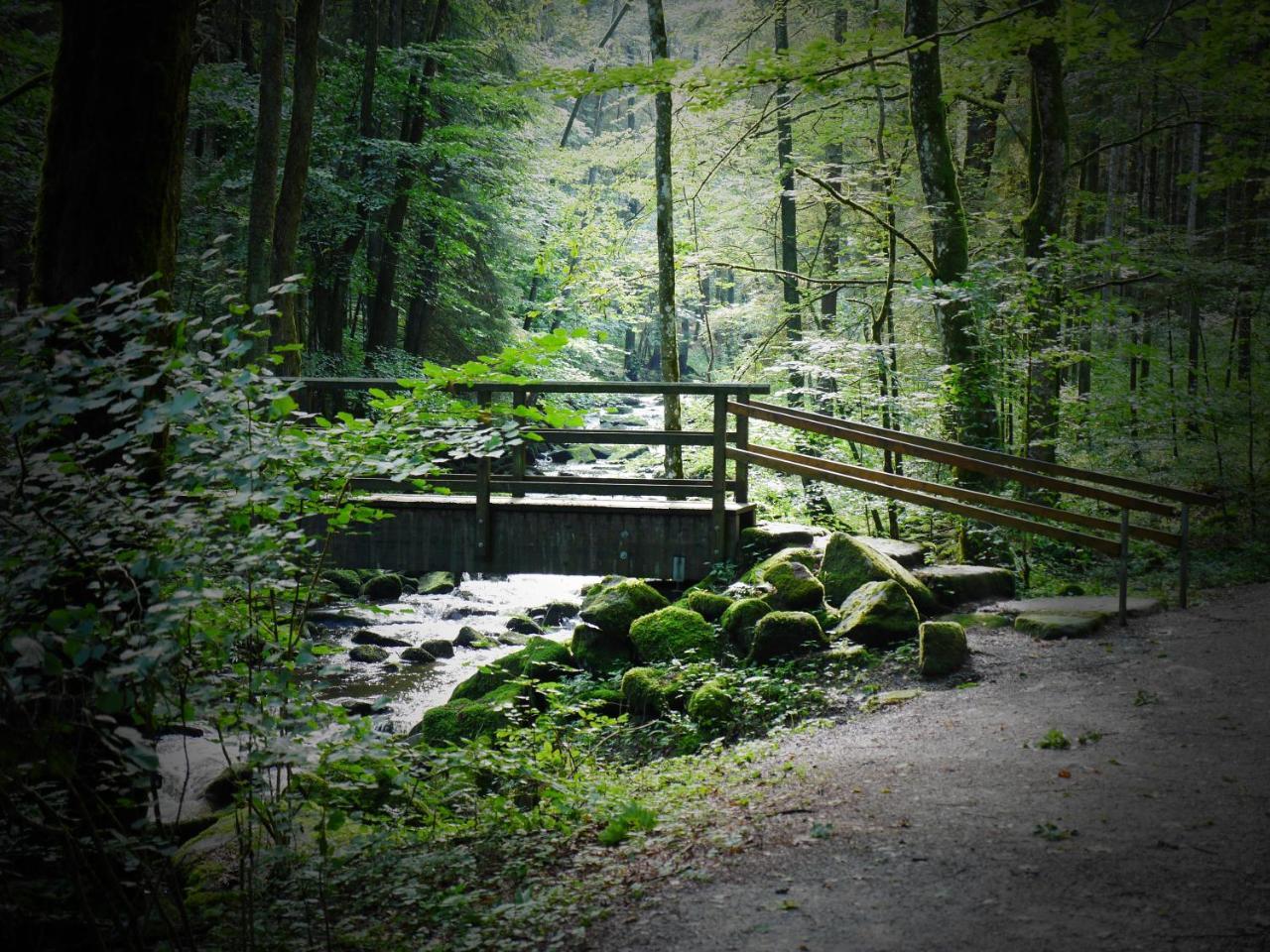 Fewo Kedo Neukirchen vorm Wald Dış mekan fotoğraf