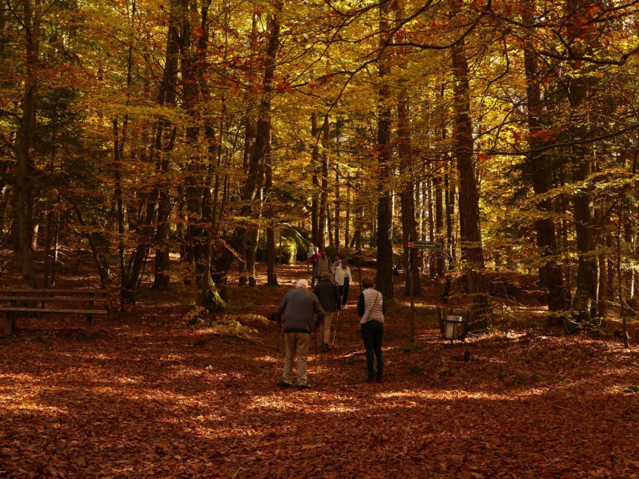 Fewo Kedo Neukirchen vorm Wald Dış mekan fotoğraf